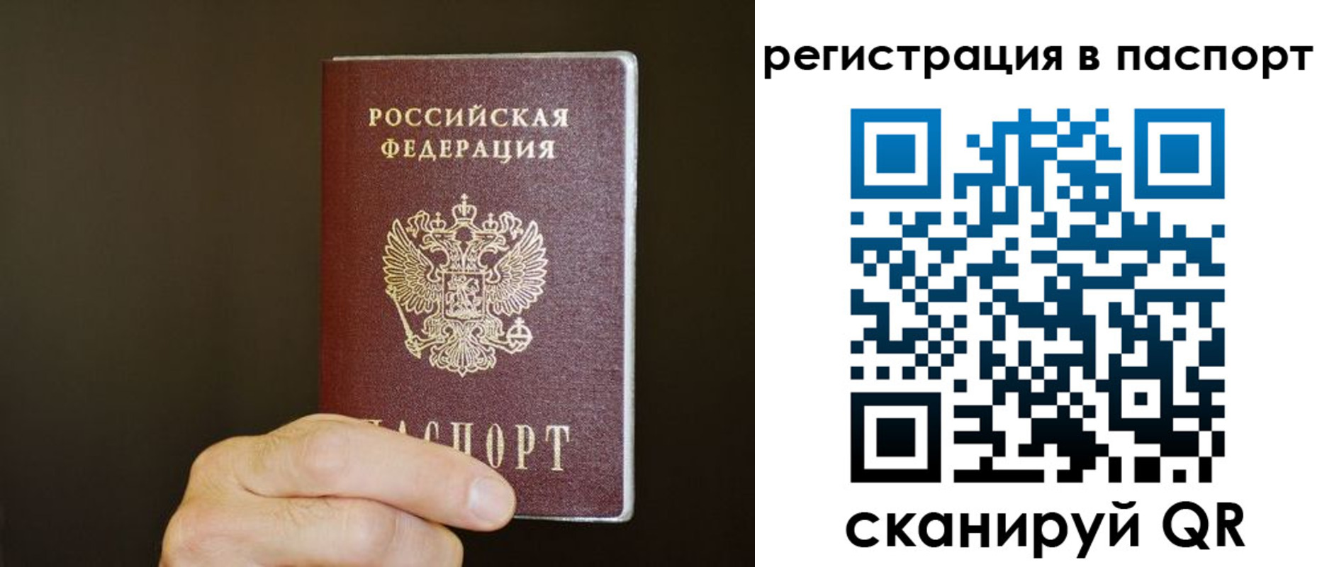 временная регистрация законно в Долгопрудном